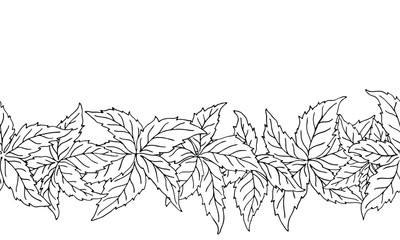 Hand drawn nature seamless pattern with virginia creeper leaves. Colorless endless vector border tracery