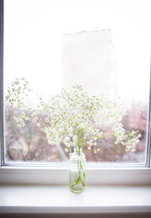 Beautiful bouquet of gypsophila, bright light from the window.