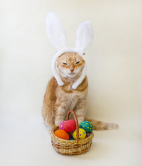 Easter eggs. Happy easter card. Multi-colored Easter eggs and rabbit. Easter eggs on a light...