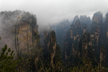 "Góry Awatarowe" w Chinach - Trekking w deszczu © Miroslaw