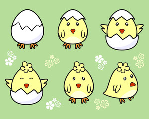  Cute chick hatching from an egg. Set of baby chickens from an egg on a green background with florets. Concept for children print, Easter design, greeting cards. Vector decorative elements for kids