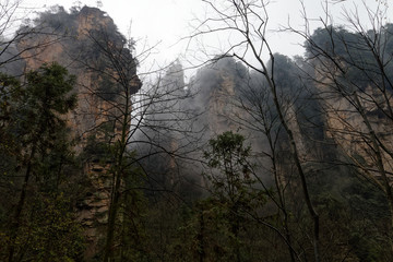 "Góry Awatarowe" w Chinach - Trekking w deszczu © Miroslaw