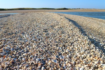 stones on beach