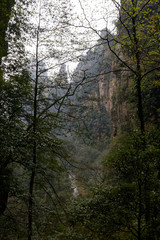 "Góry Awatarowe" w Chinach - Trekking w deszczu © Miroslaw