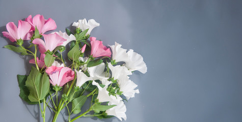pink and white flowers on gray background