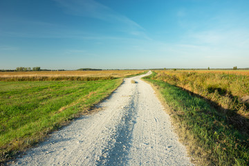 Fototapeta na wymiar Gravel road through the meadow, horizon and blue sky
