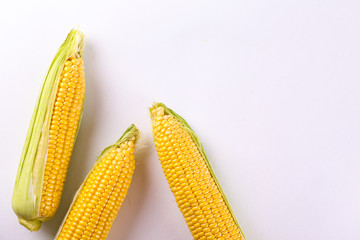 Cobs of ripe raw corn, isolated on white. Healthy summer food concept. Fresh uncooked corncob. Clean eating habits. Background, top view, close up, flat lay, copy space.