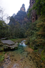 "Góry Awatarowe" w Chinach - Trekking w deszczu © Miroslaw