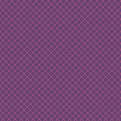 Diagonal checkered pattern of fine lines. Vector illustration. Abstract geometric monochrome texture