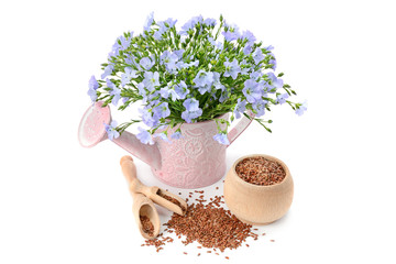 Flax seeds and flax flowers in a decorative watering can isolated on a white background.