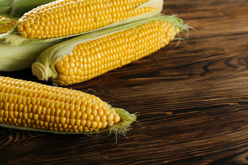 Cobs of ripe raw corn laid on dark wood textured table. Healthy summer food concept. Fresh uncooked corncob. Clean eating habits. Background, top view, close up, flat lay, copy space.