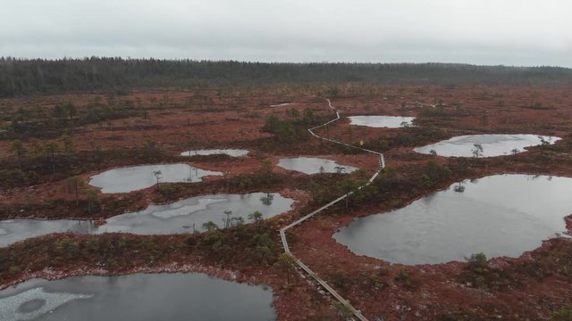 Mukri Raba Bog Marshland in Estonia wilderness during winter