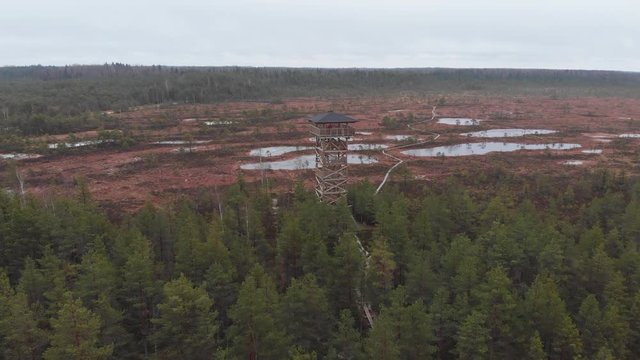 Mukri Raba Bog Marshland in Estonia wilderness during winter