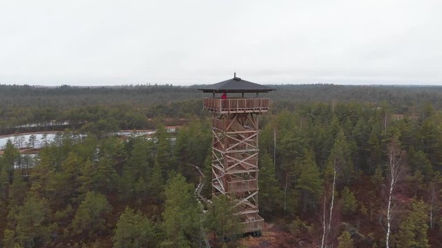 Mukri Raba Bog Marshland in Estonia wilderness during winter