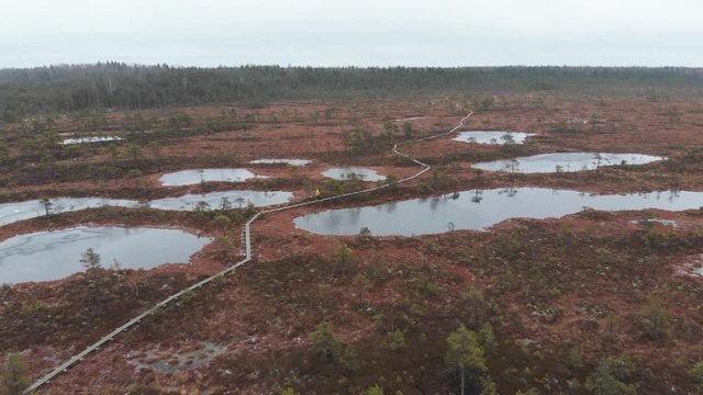 Mukri Raba Bog Marshland in Estonia wilderness during winter