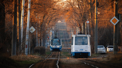 Trams on their ways on an old street surrounded by a trees with orange autumn leaves,