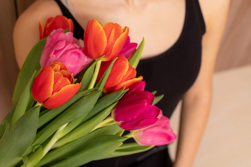 Bouquet of red scarlet white tulips is in the hands of a girl, top view. She holding close to chest tulips in arms...