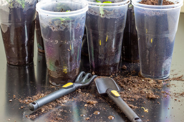 Set of mini garden tools for plant care. Shovel and rake for digging and loosening the soil..