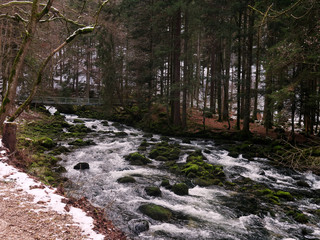 Beautiful forest and the Orbe river in winter, Vallorbe, Switzerland.