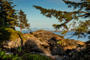 Obraz premium Beach scenery in summer evening, Ucluelet, Vancouver Island, BC, Canada