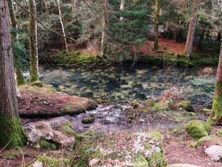 Beautiful forest and the Orbe river in winter, Vallorbe, Switzerland.