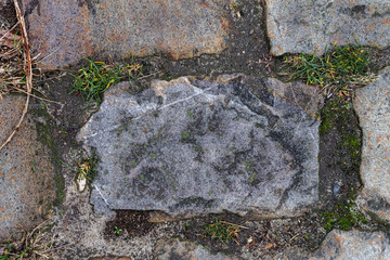 A close view on a brick of an old brick road. Grey brick, green grass, moss and lichen.