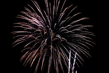 Fireworks at night. dark background