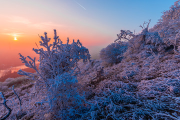 Winter rime on the trees landscape