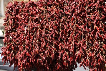 red chili pepper dried in the sun