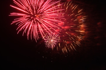 Obraz premium fireworks for July 14