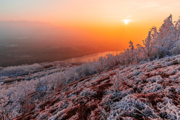 Winter rime on the trees landscape