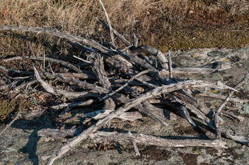 Fototapeta na wymiar Pile of dried branches on mountain rock closeup