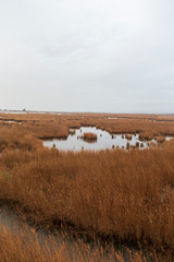 A beautiful sunrise in the Ebro Delta of Tarragona