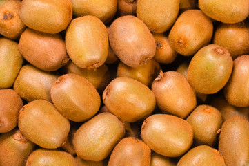 Closeup of an assortment of fresh unpeeled kiwies