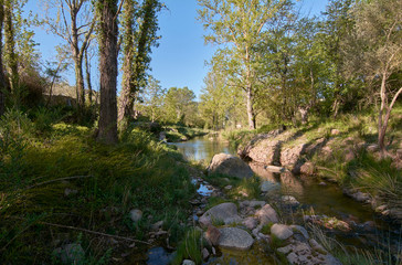 Fototapeta na wymiar Quiet river on a bright spring morning