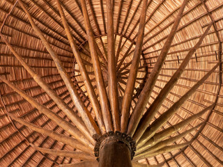 Wanderung durch das Tirimbina Regenwald Reservat bei Puerto Viejo in Costa Rica. Dach einer Rundhütte oder auch Sonnenschirm aus Naturmaterial.