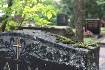 Gravestones at the Hietaniemi cemetery in Helsinki, Finland