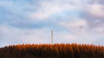 New tower build on the hill in forest rady for3G 4G LTE Radio Mast in a Rural Location - obrazy, fototapety, plakaty