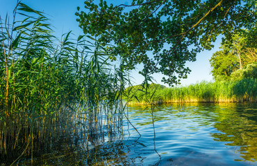 Krakower See, Mecklenburgische Seenplatte, Krakow am See