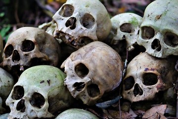 A heap of human skulls at the Bali Aga Trunyan open burial site in Indonisia