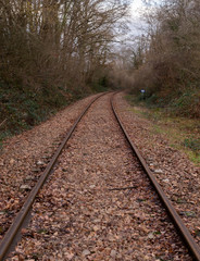 Fototapeta premium railway with a mysterious atmosphere. train tracks.