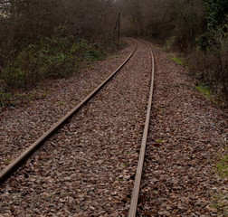 Fototapeta premium railway with a mysterious atmosphere. train tracks.