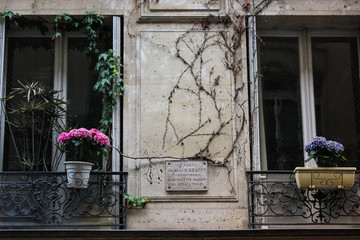 Fototapeta na wymiar Facade of a house in Paris, beautiful flowers in a pot on a balcony.