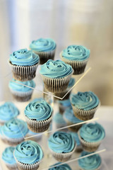 cupcakes on white background