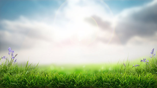 A sunny spring Easter morning background with a fresh green grass foreground.