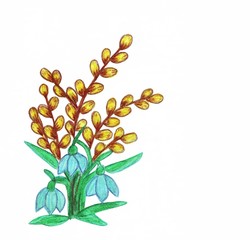 Watercolor sketch with a picture of willow twigs and snowdrops on a white background. Postcard for the holiday 