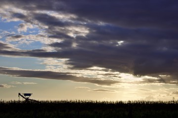 Harvesting machine in an agricultural landscape silloutted against the setting sun and dark cloudy sky in, George, South Africa