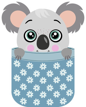 recommend clip art: Cute koala  peeking inside pocket