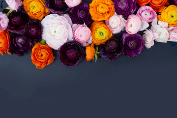 blooming flowers on black