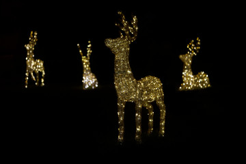 Deer figures made of wire and turned on bulbs on the lawn at night.